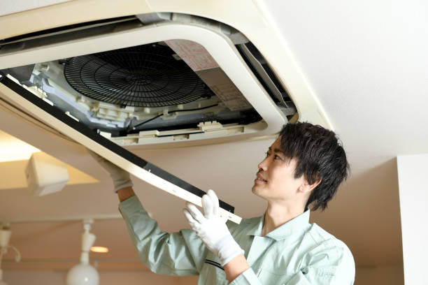 Best Residential Air Duct Cleaning  in Whitg, IN